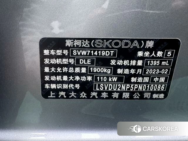 Skoda Speed pie id 4392048 из Китая 7