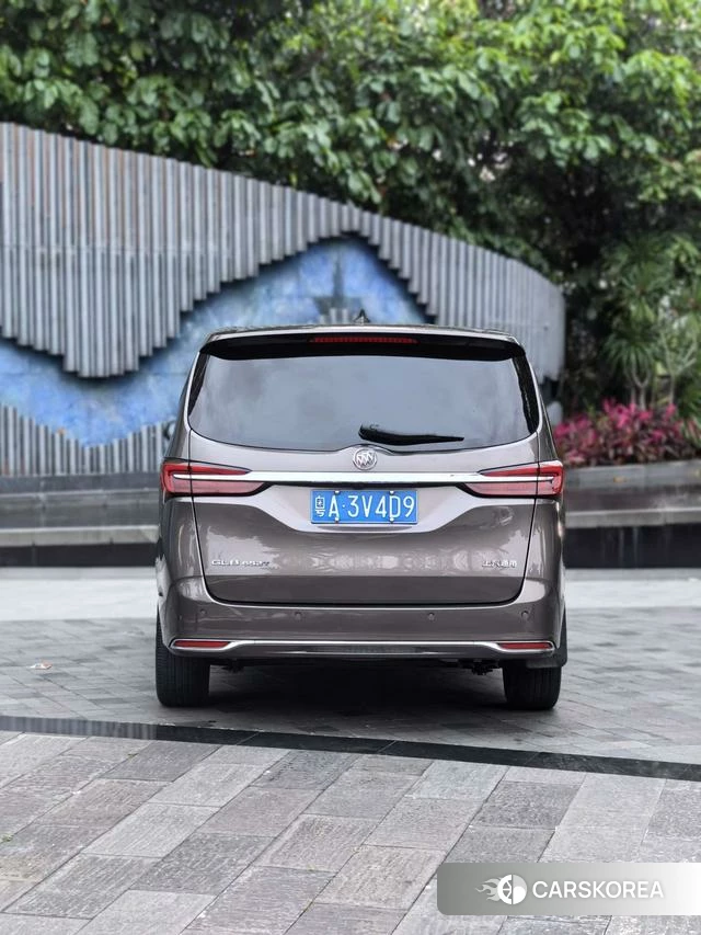 Buick GL8 id 4221051 из Китая 7