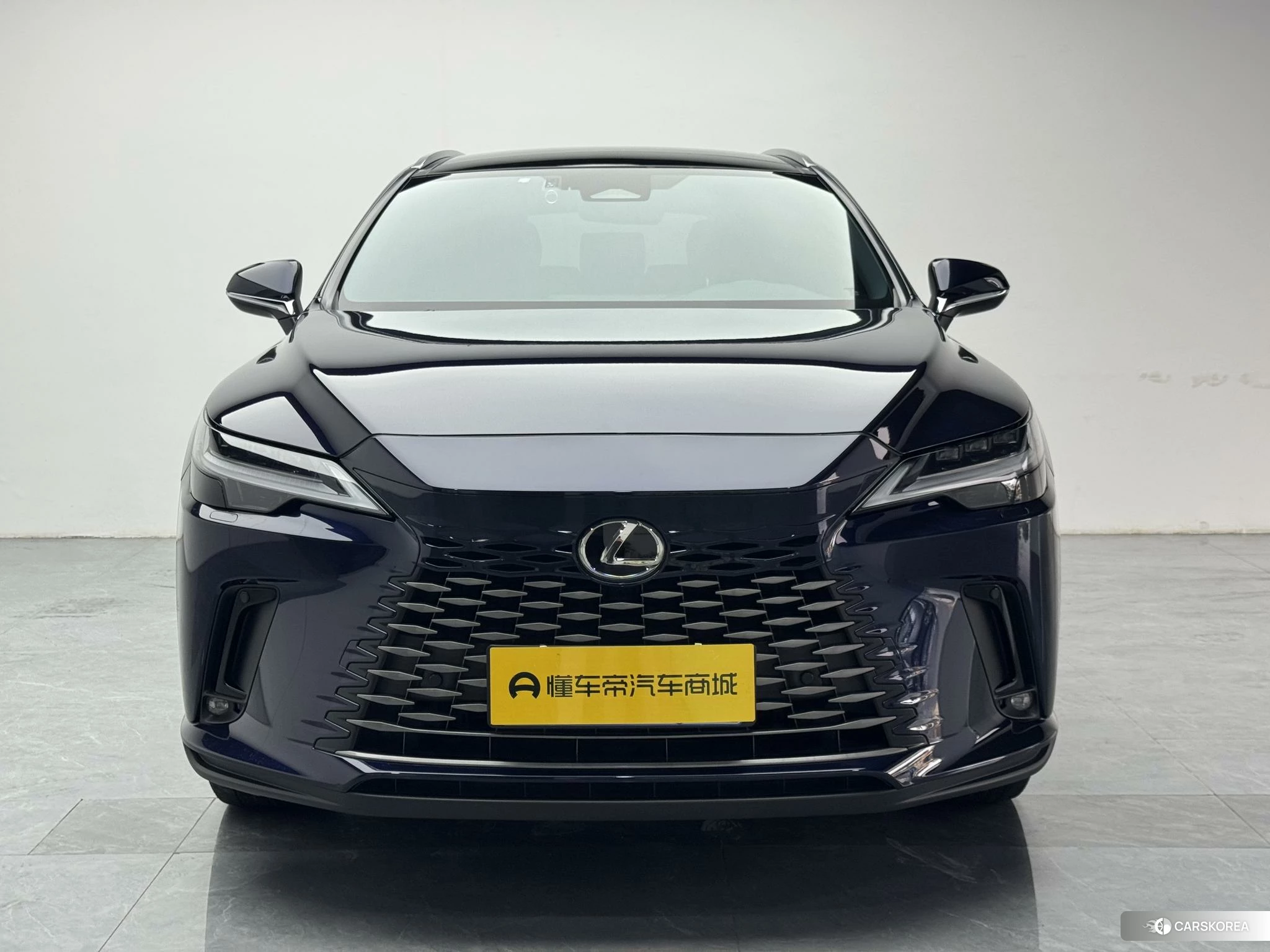 Lexus RX id 4515067 из Китая 7