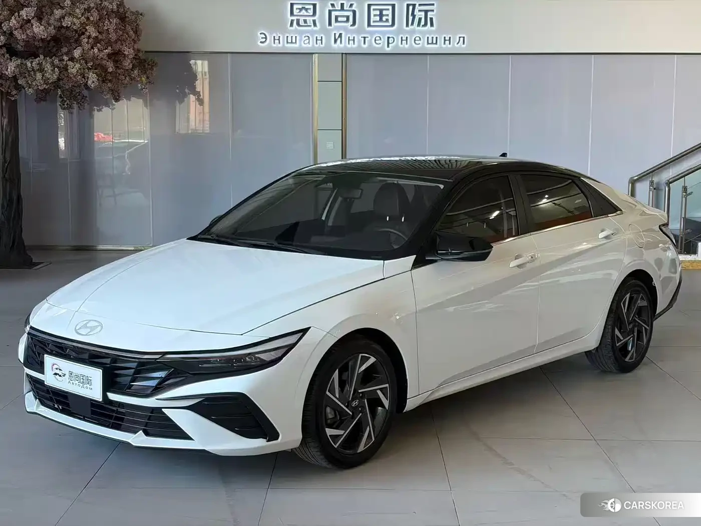 Hyundai Elantra id 4680827 из Китая 7