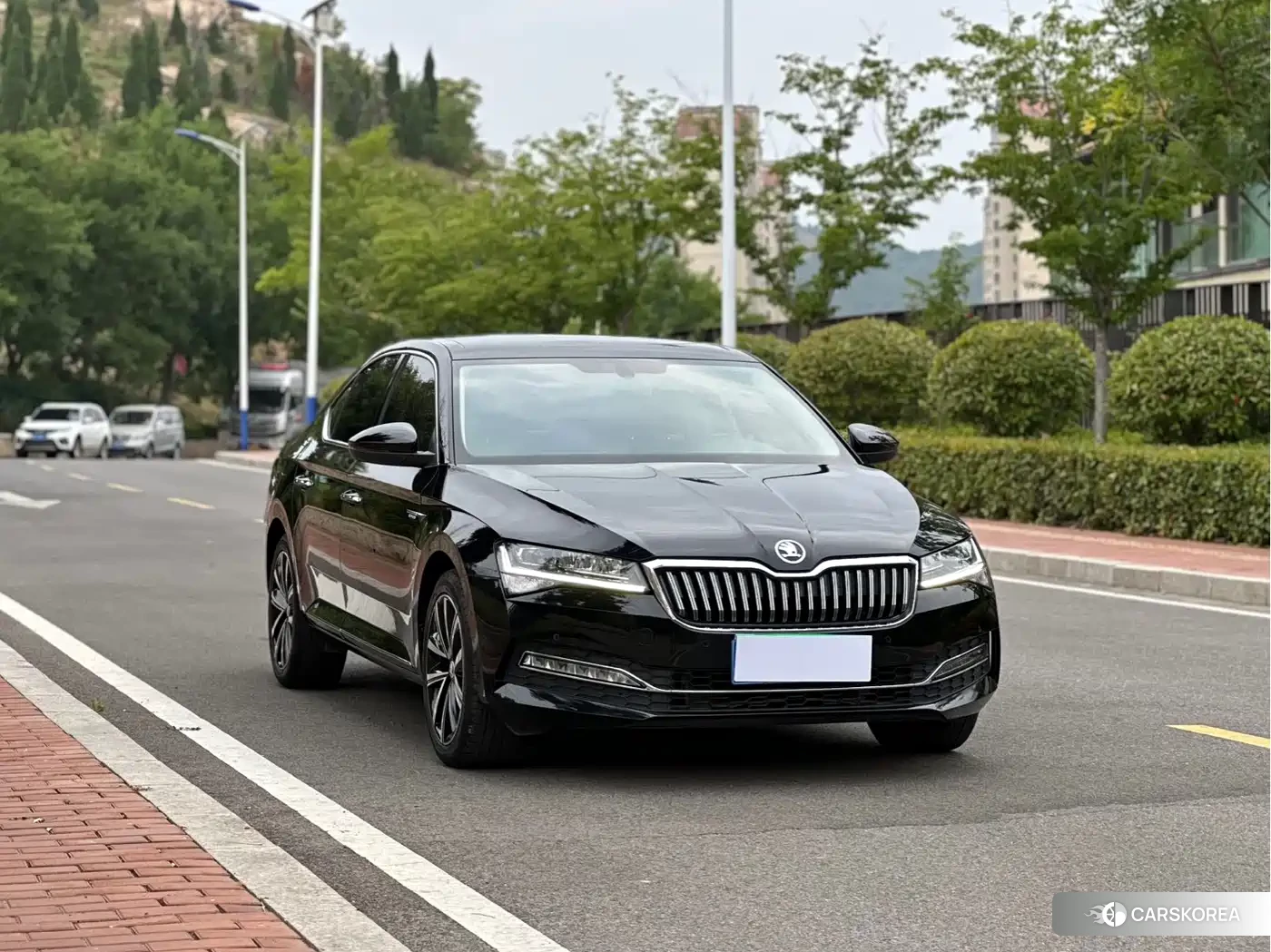 Skoda Speed pie id 4548242 из Китая 7