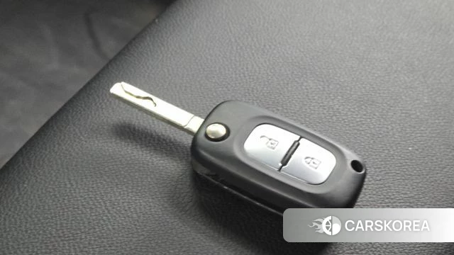 Renault Korea (Samsung) Master id 4669962 из Кореи 7