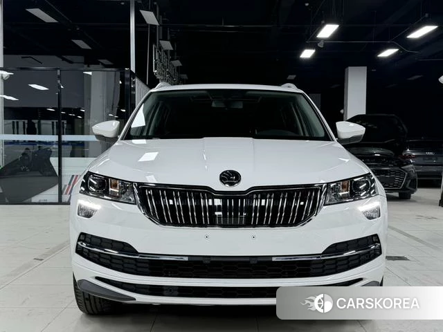 Skoda Krok id 4374660 из Китая 7