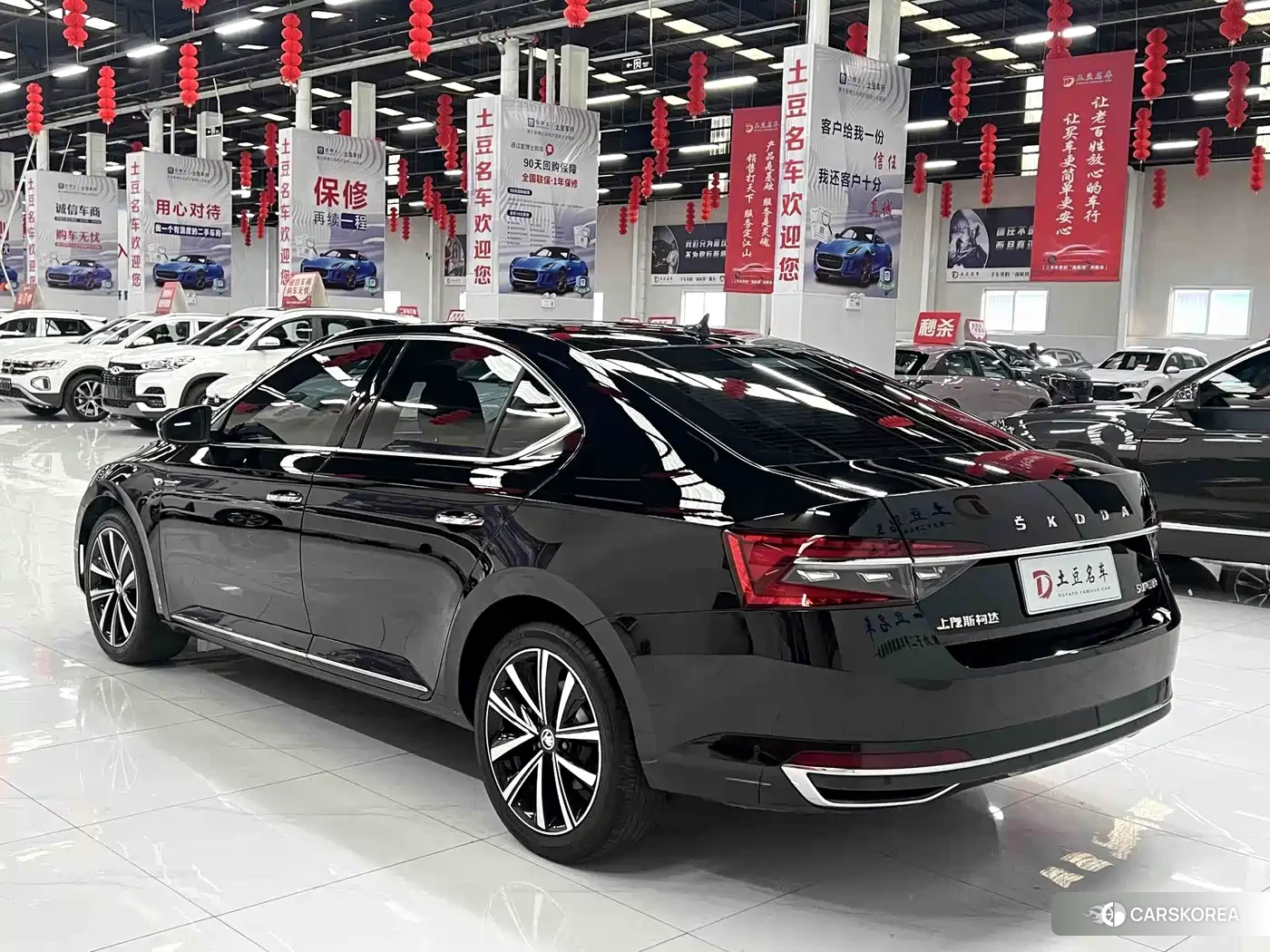 Skoda Speed pie id 4577623 из Китая 7