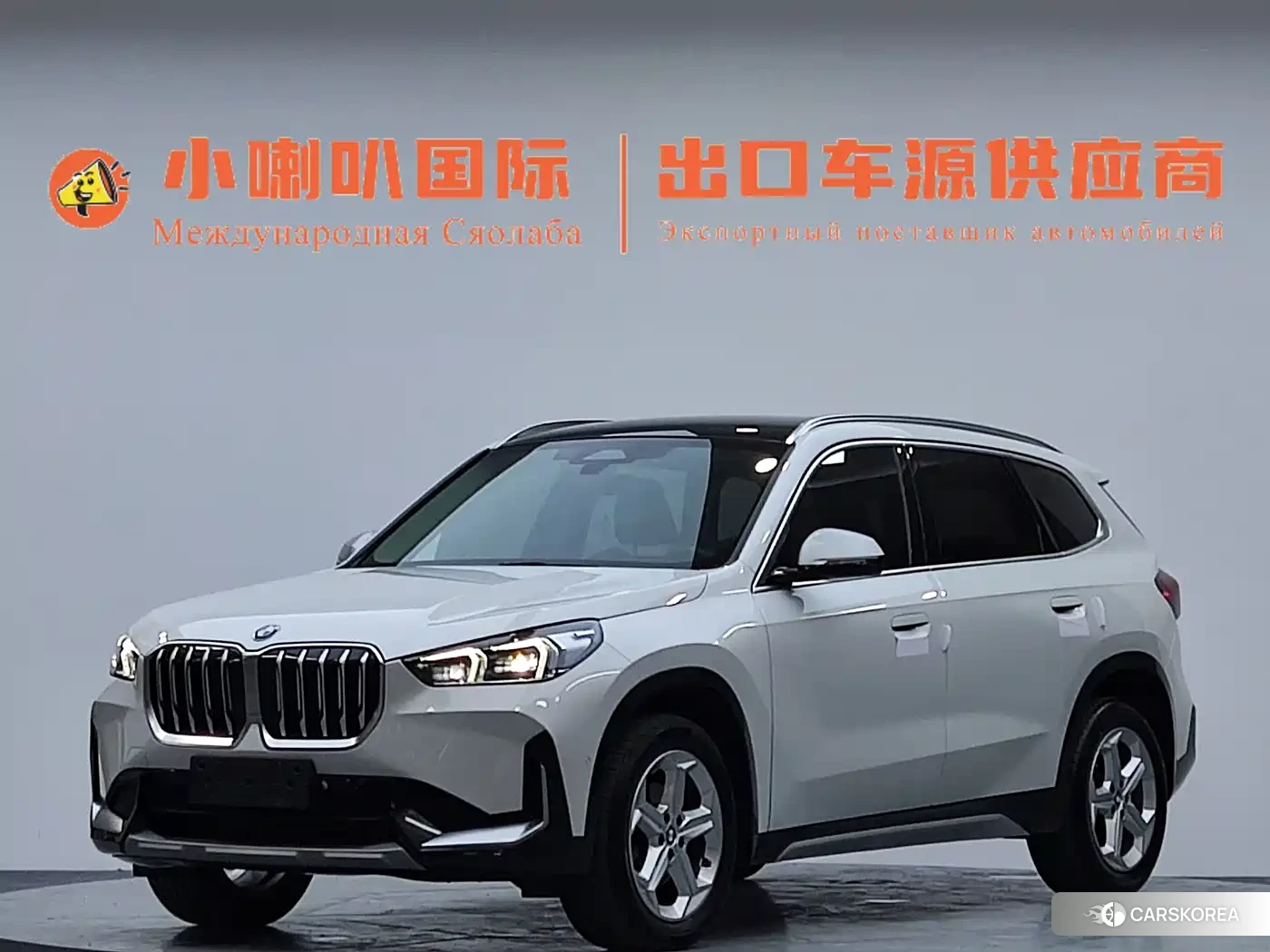 BMW X1 id 4674320 из Китая 7
