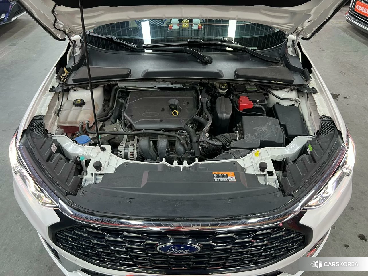 Ford Forrest id 4440377 из Китая 7