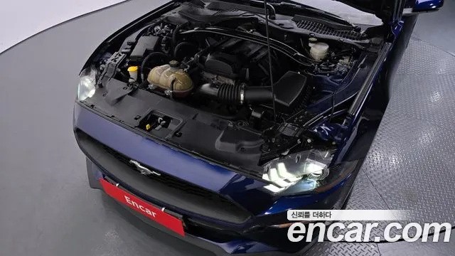 Ford Mustang id 2759642 из Кореи 7