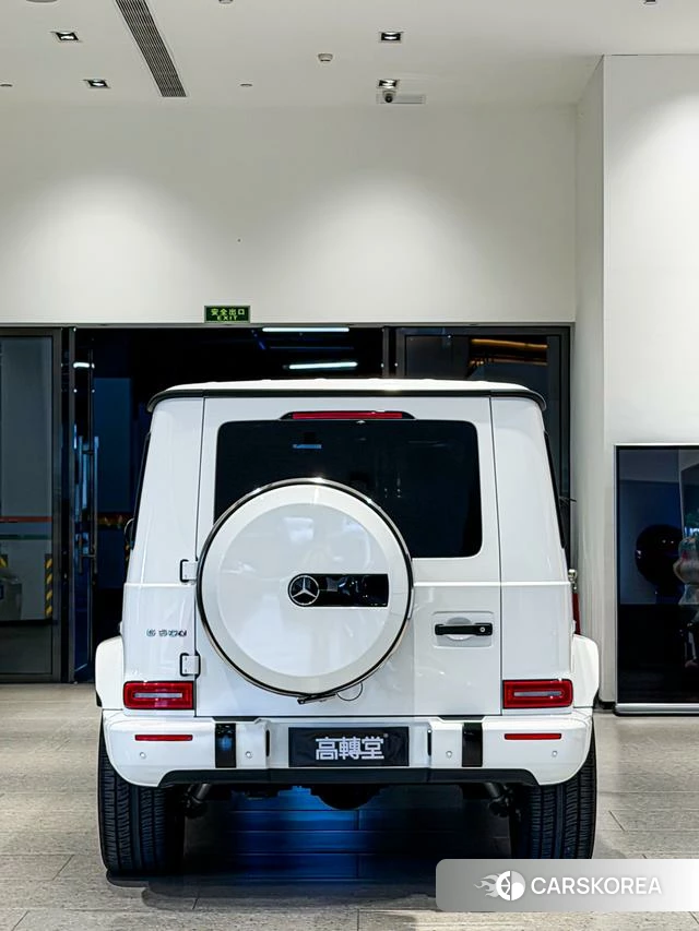 Mercedes-Benz G-class id 4271562 из Китая 7