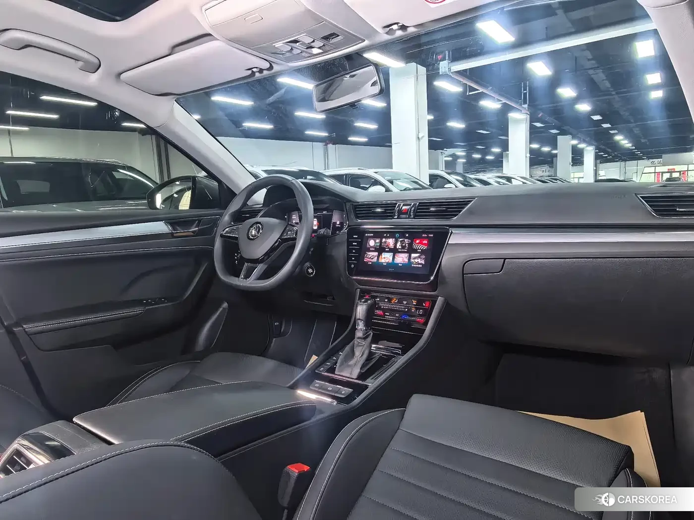Skoda Speed pie id 4578277 из Китая 7