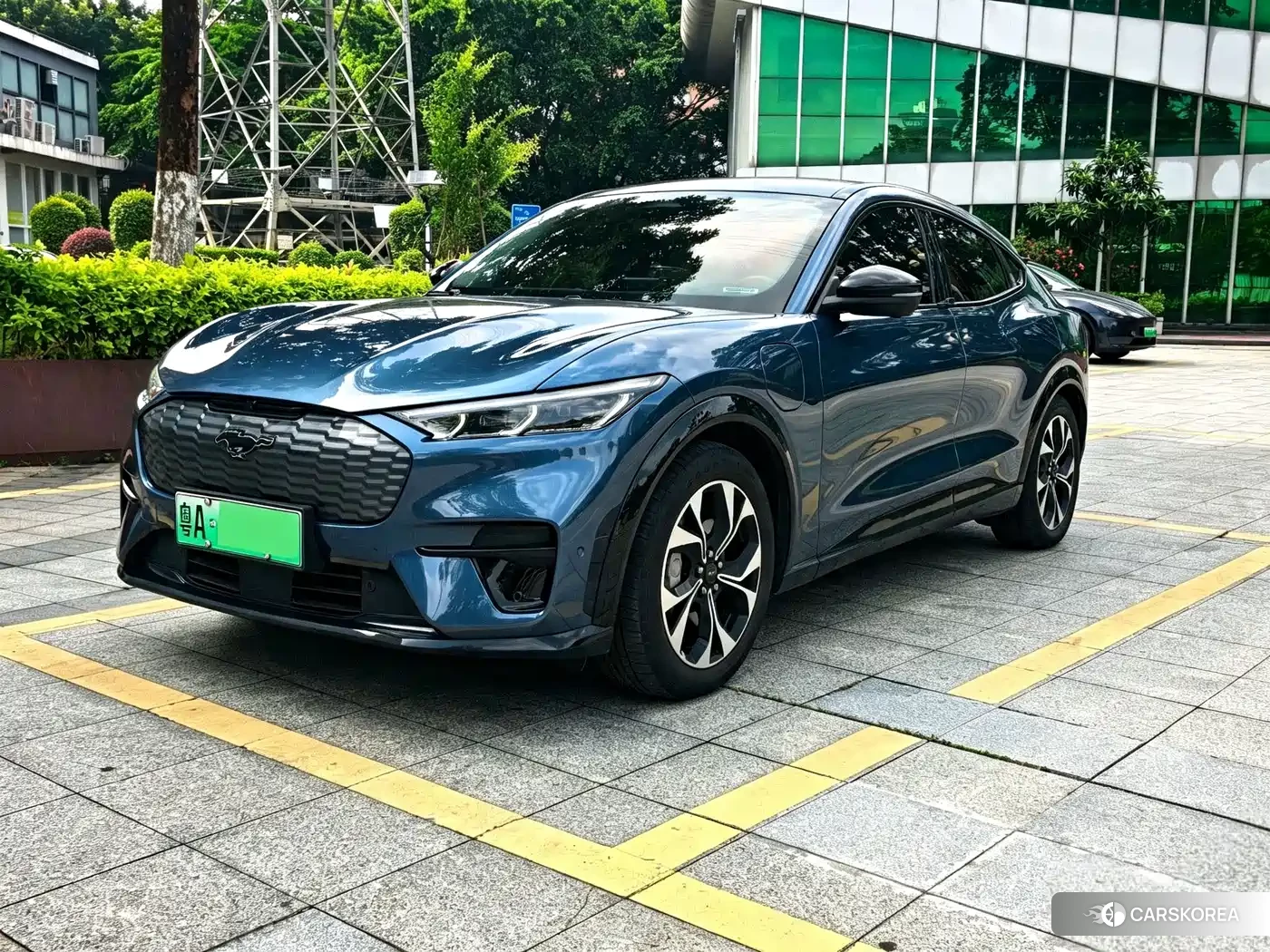 Ford Electric horse id 4686018 из Китая 7
