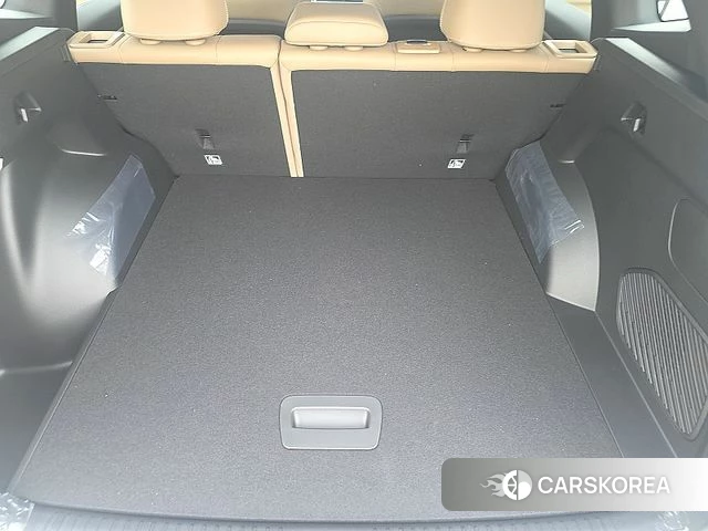 Renault Korea (Samsung) Grand Coleos id 4777933 из Кореи 7