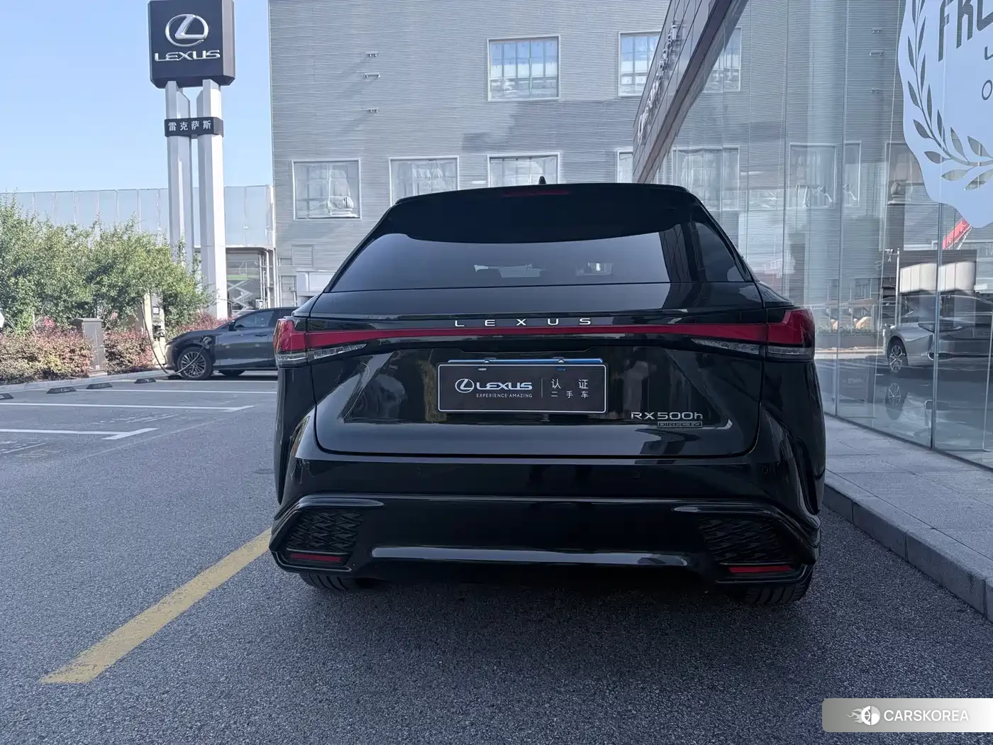 Lexus RX id 4627997 из Китая 7