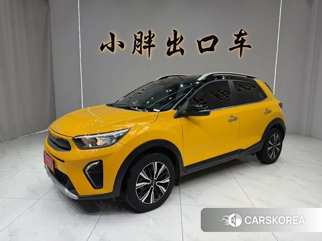 Kia Yi Ran id 4291417 из Китая 7
