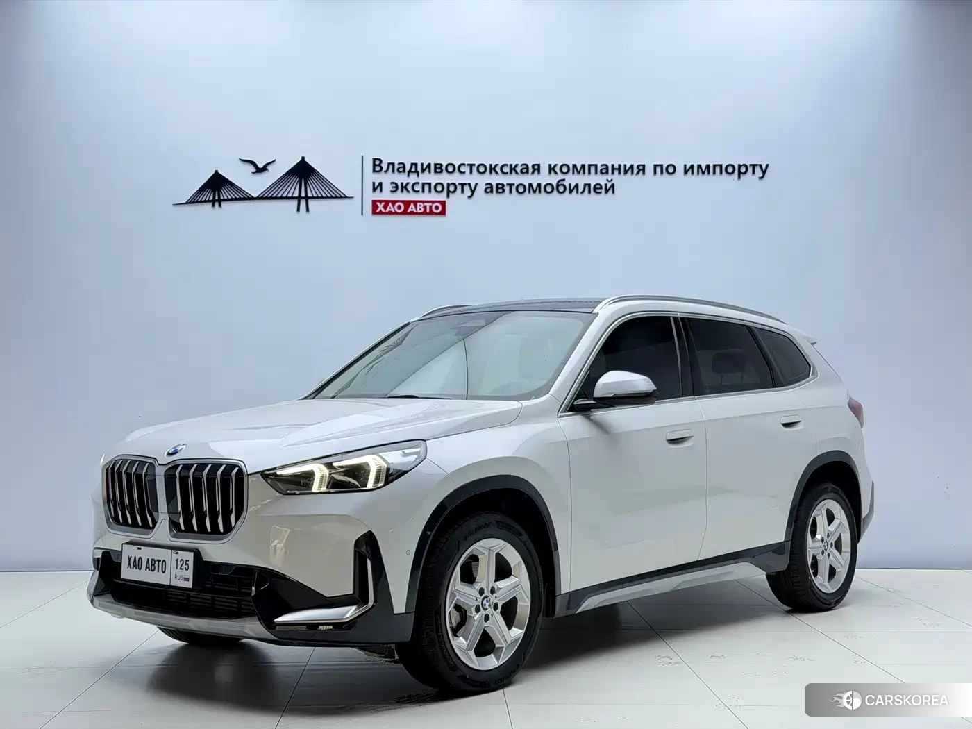 BMW X1 id 4644517 из Китая 7