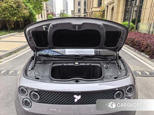 firefly firefly Unknown id 3969201 из Китая 7