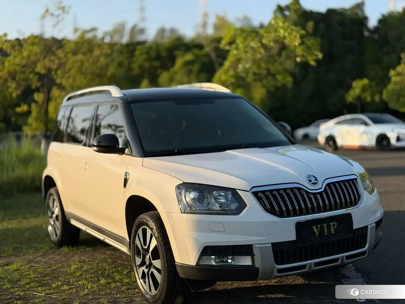 Skoda Yeti id 4622760 из Китая 7