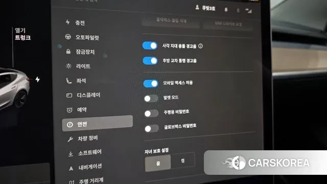 Tesla Model 3 id 3764636 из Кореи 7