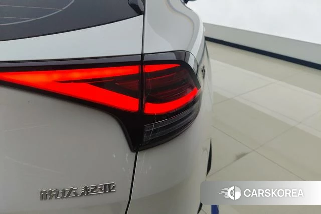 Kia Lion Platinum expands the world id 4208699 из Китая 7
