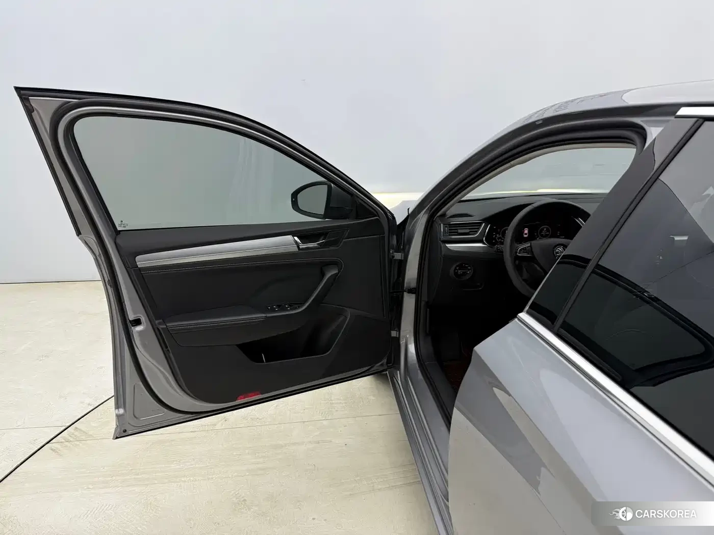 Skoda Speed pie id 4565177 из Китая 7