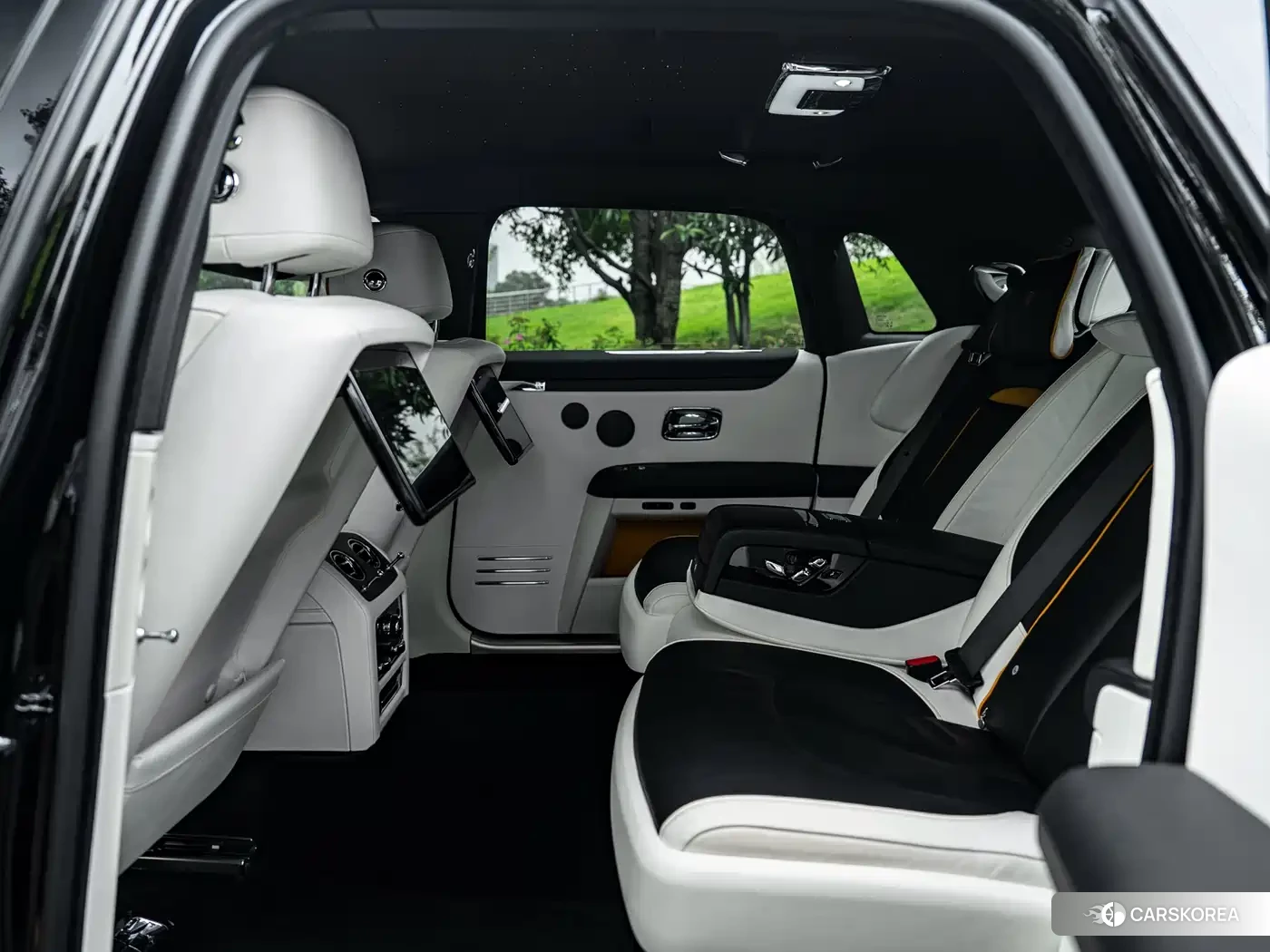 Rolls-Royce Gust id 4545647 из Китая 7
