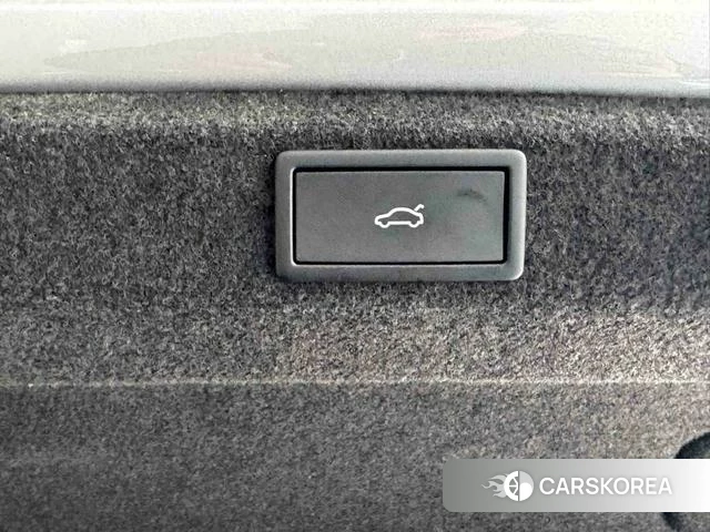 Skoda Speed pie id 3983465 из Китая 7