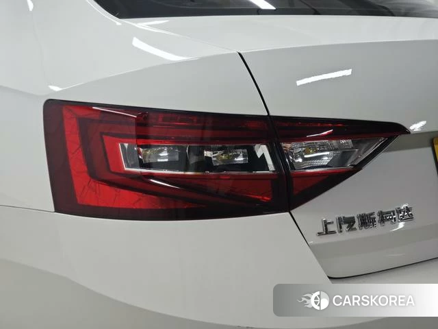 Skoda Speed pie id 4212782 из Китая 7