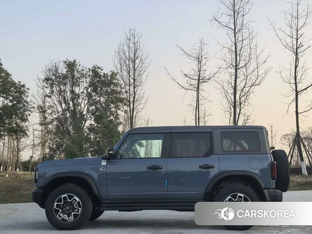 Ford Lie Ma id 3920562 из Китая 7