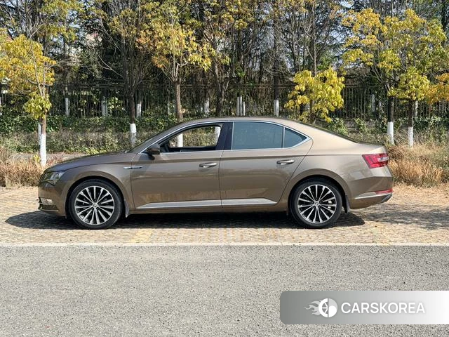 Skoda Speed pie id 3869879 из Китая 7