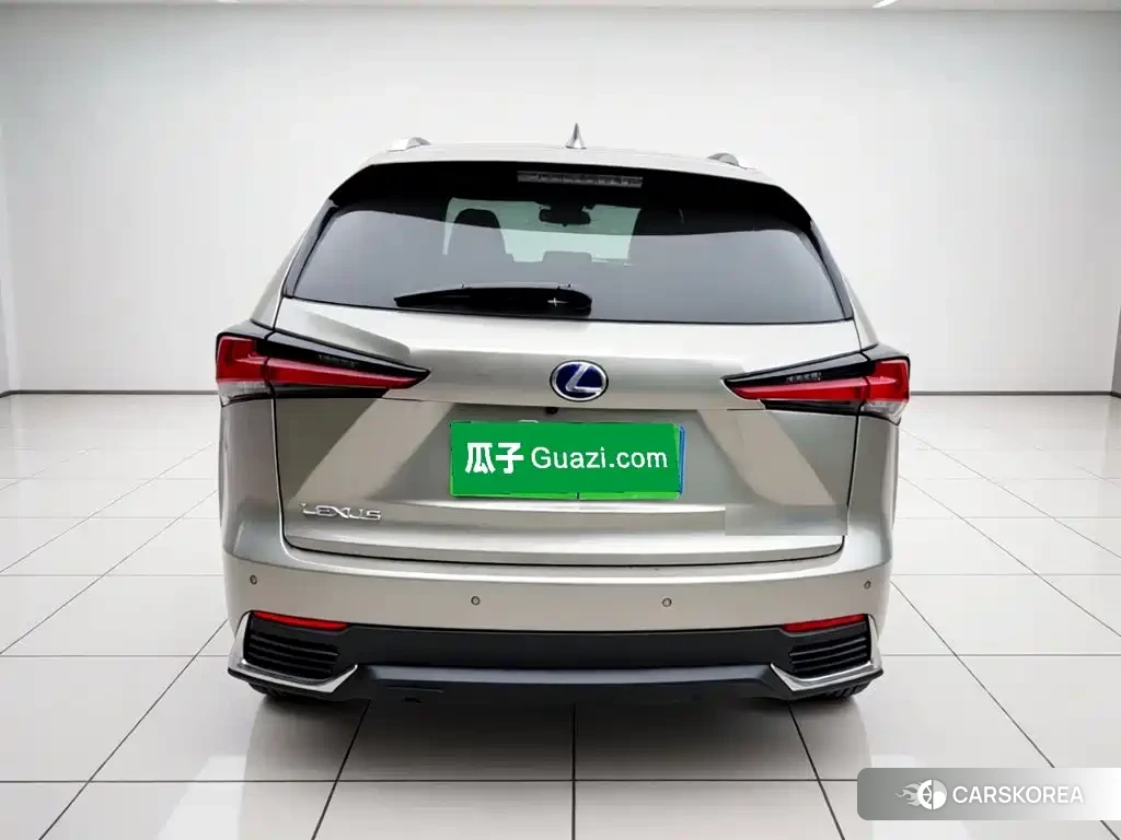 Lexus NX id 4589196 из Китая 7