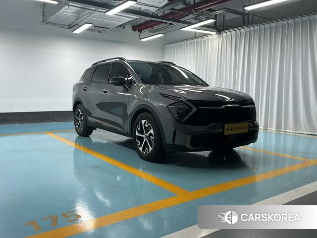 Kia Lion Platinum expands the world id 4277449 из Китая 7