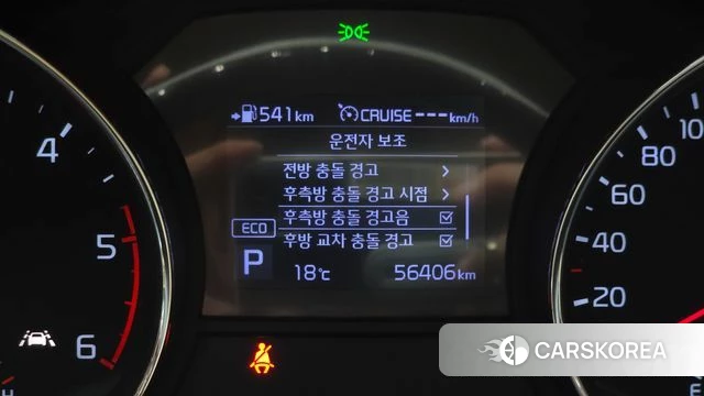 Kia The New Carnival id 4294694 из Кореи 7