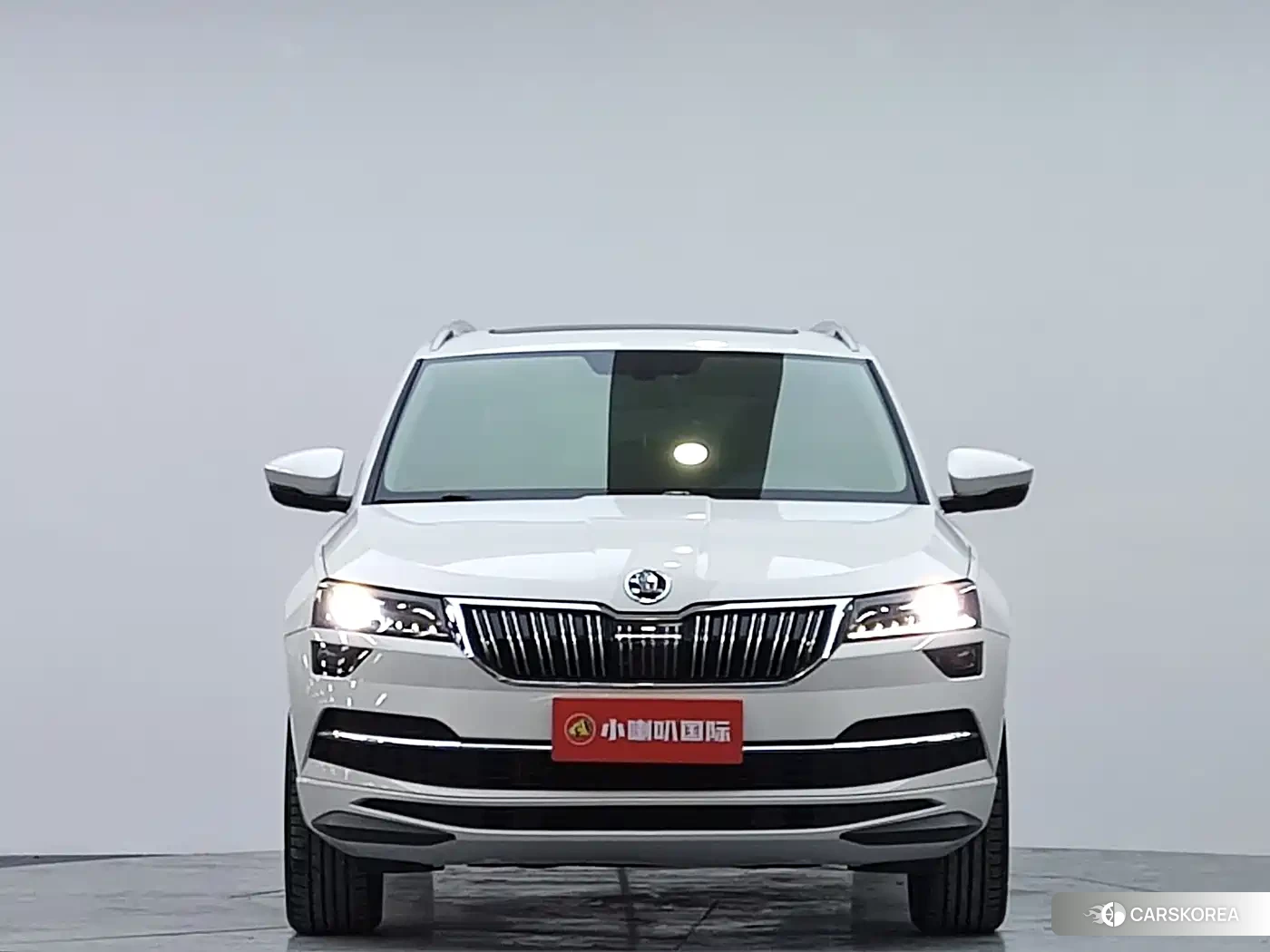 Skoda Krok id 4565303 из Китая 7