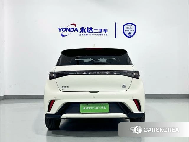 BYD dolphin id 4240193 из Китая 7