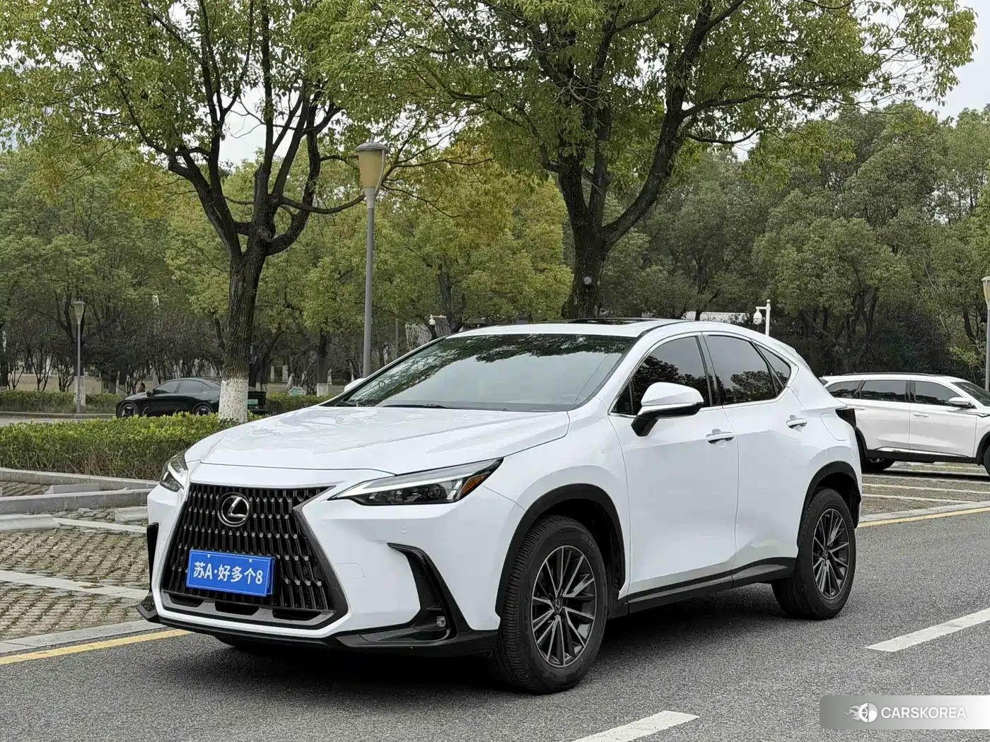 Lexus NX id 4622535 из Китая 7