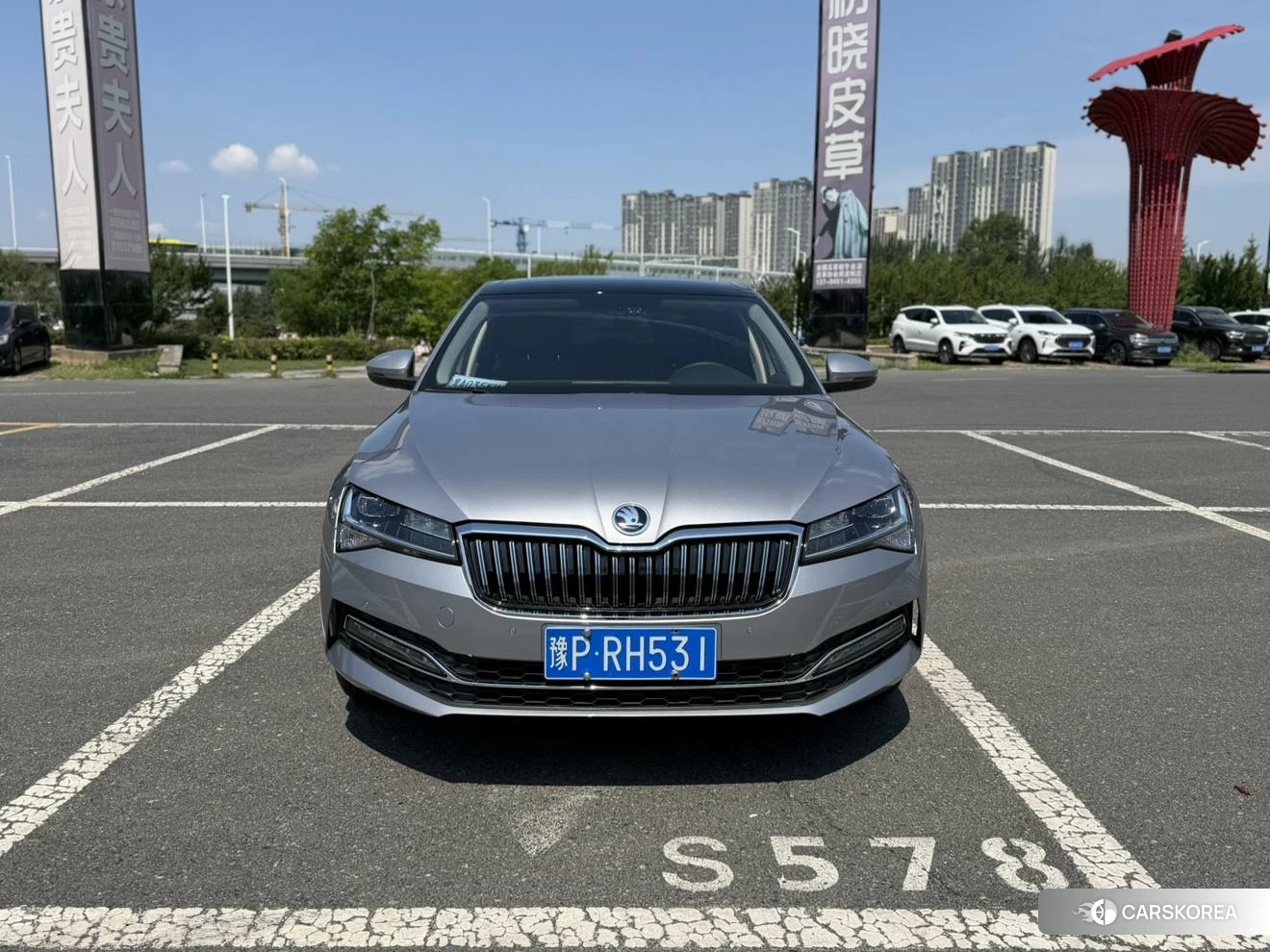 Skoda Speed pie id 4452207 из Китая 7
