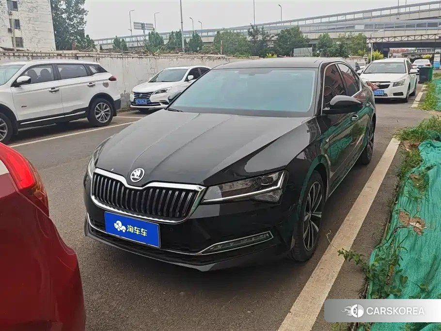 Skoda Speed pie id 4546435 из Китая 7