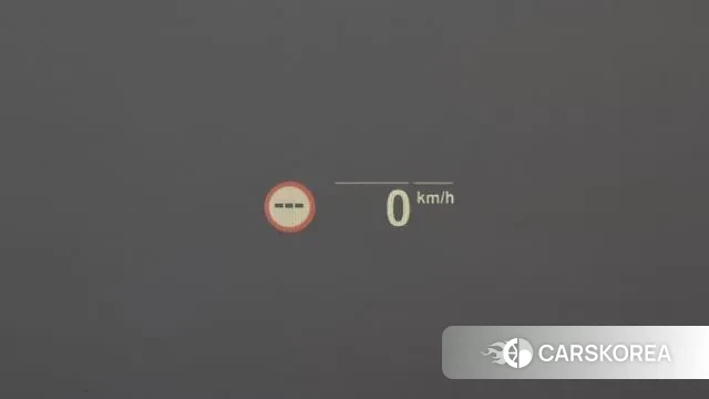 BMW X4 (G02) id 3770359 из Кореи 7