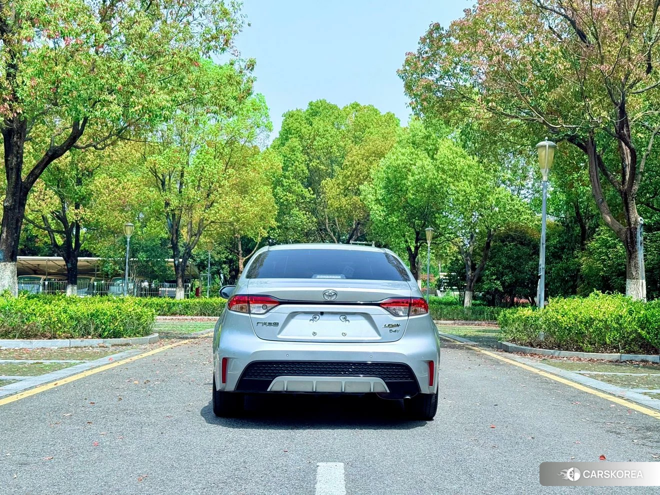Toyota Lei Ling 2020 Серебристо-серый из Китая, фото 5