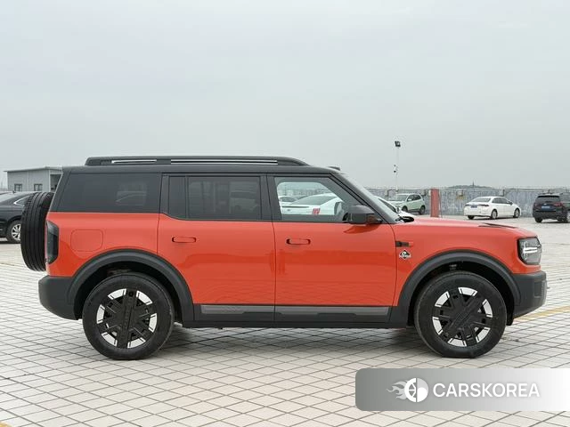 Ford Zhiqu Lie Ma id 4368186 из Китая 7