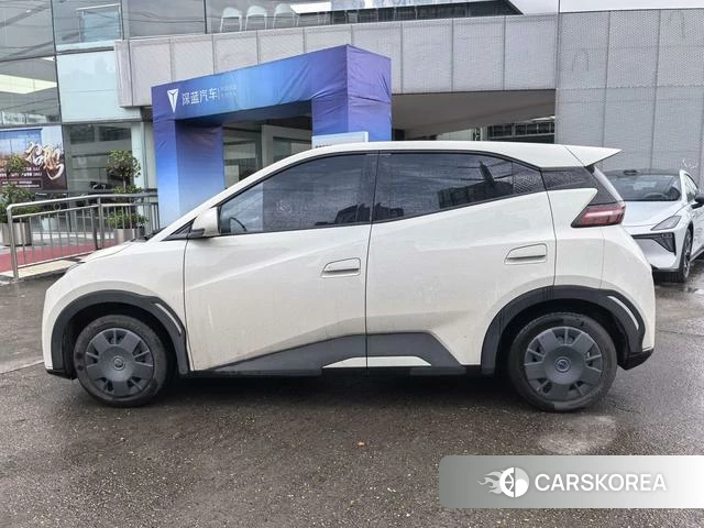 BYD Seagull id 4213284 из Китая 7
