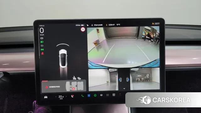 Tesla Model 3 id 3302232 из Кореи 7