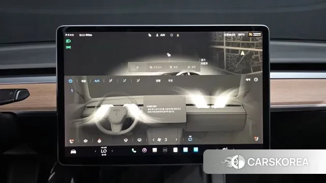 Tesla Model 3 id 2993815 из Кореи 7