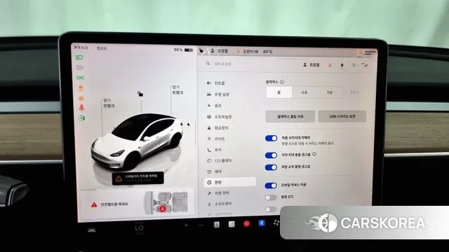 Tesla Model Y id 3022616 из Кореи 7