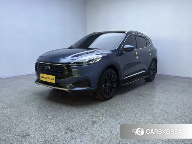 Ford Ruiji id 4241011 из Китая 7