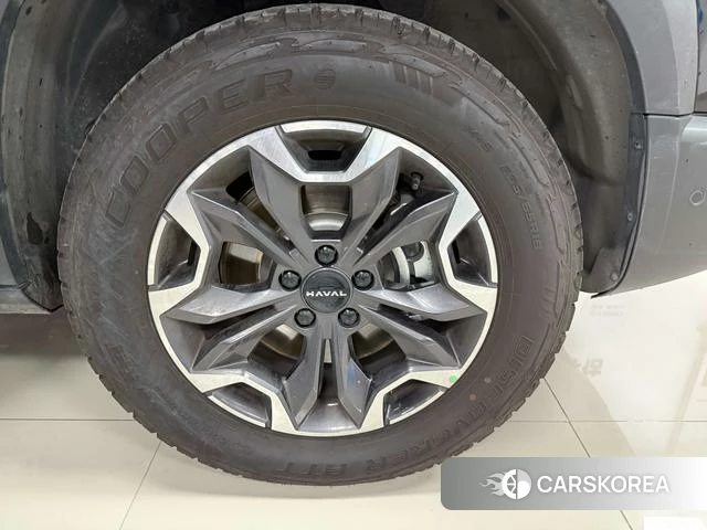 Haval Big dog id 4235703 из Китая 7