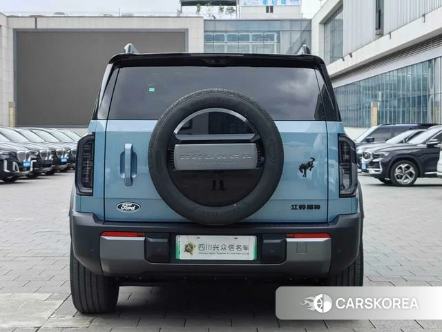 Ford Zhiqu Lie Ma id 3920555 из Китая 7