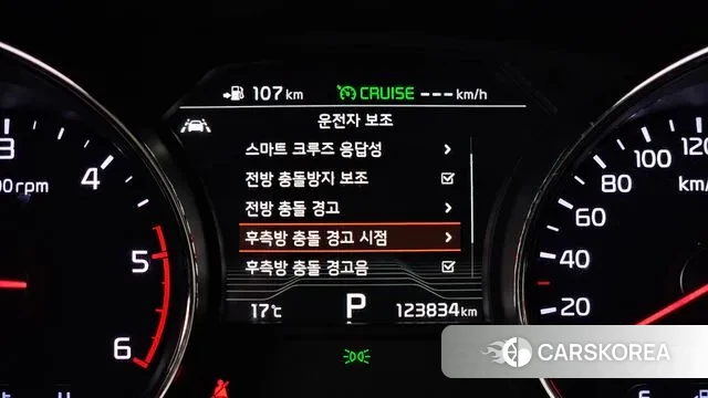 Kia The New Carnival id 3238977 из Кореи 7