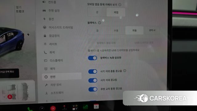 Tesla Model 3 2024 Синий из Кореи, фото 6