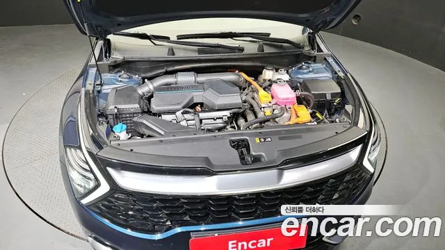 Kia Sportage 5th Generation Hybrid id 2698990 из Кореи 7