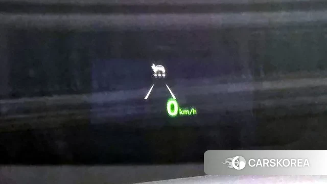 Genesis G90 id 3736720 из Кореи 7